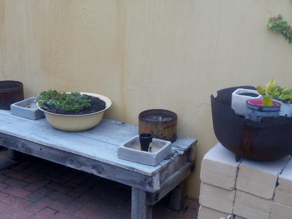 Toscana Cottage Port Elizabeth Exterior photo